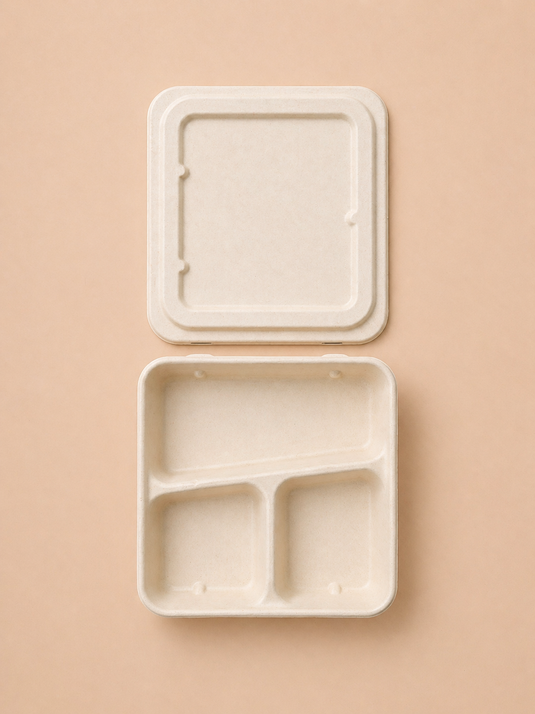 Bento Box 3-Compartment (Slanted Partition)