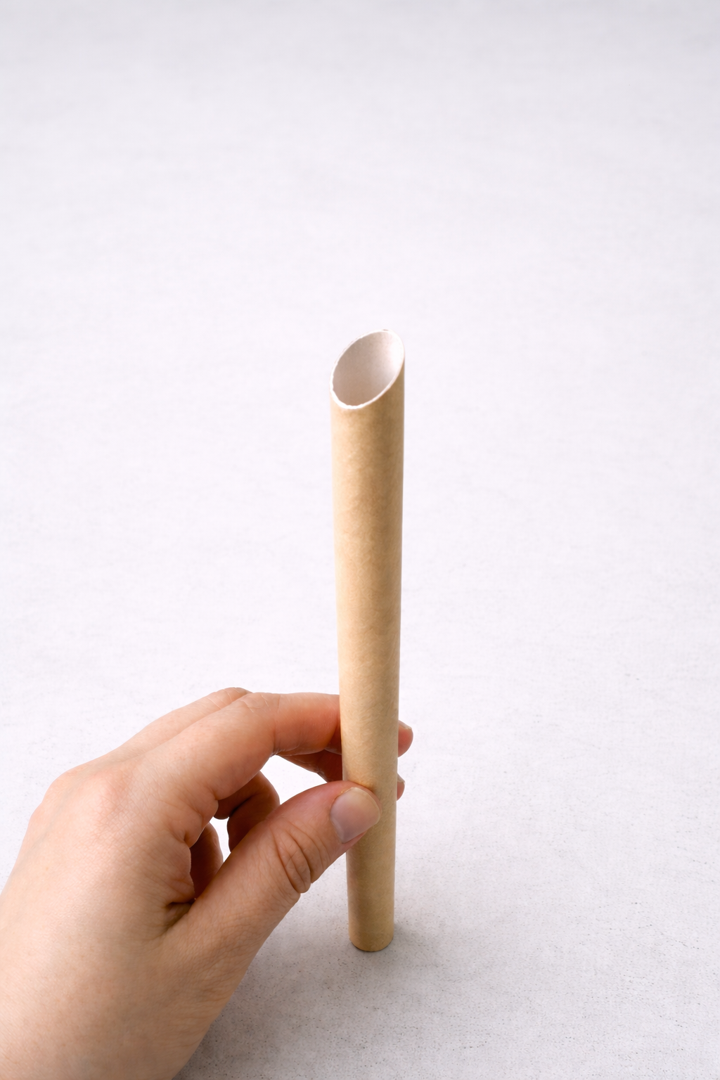 Paper Straw (12mm × 250mm)