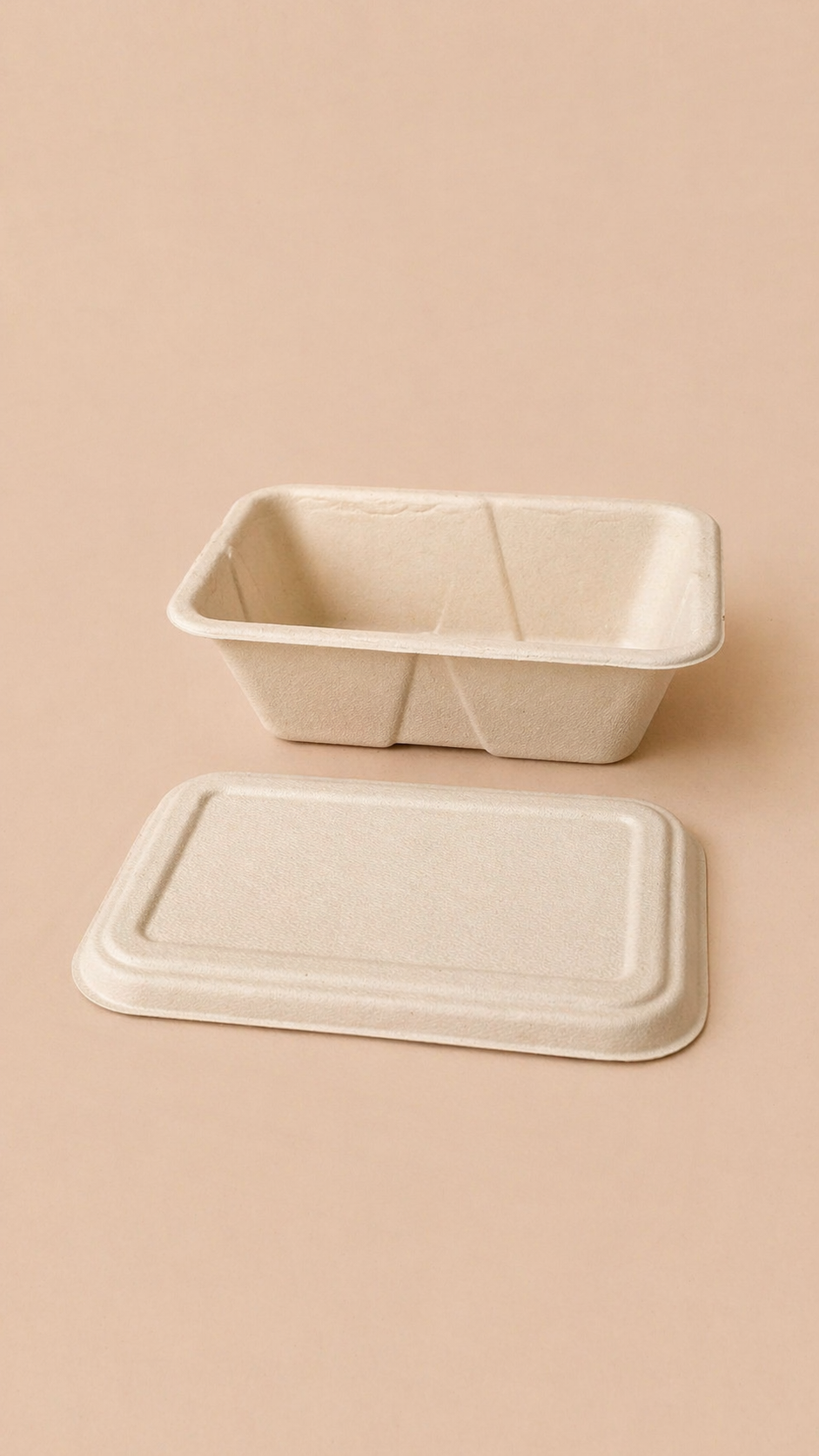 Lunch Box with Lid (700ml)