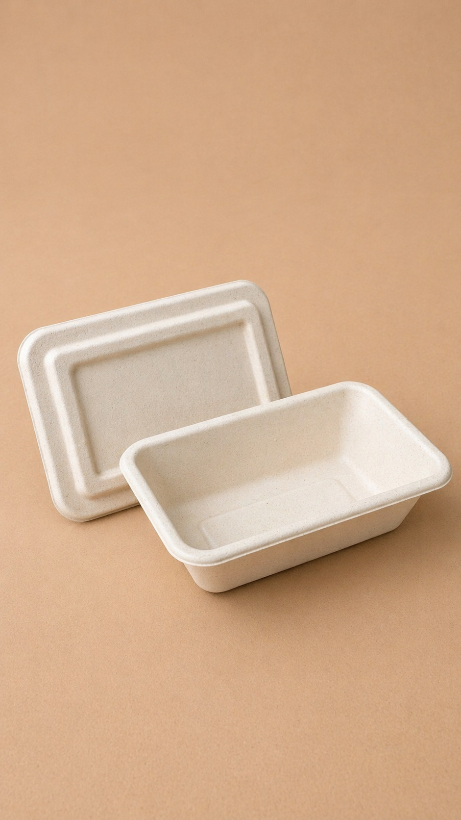 Lunch Box with Lid (470ml)
