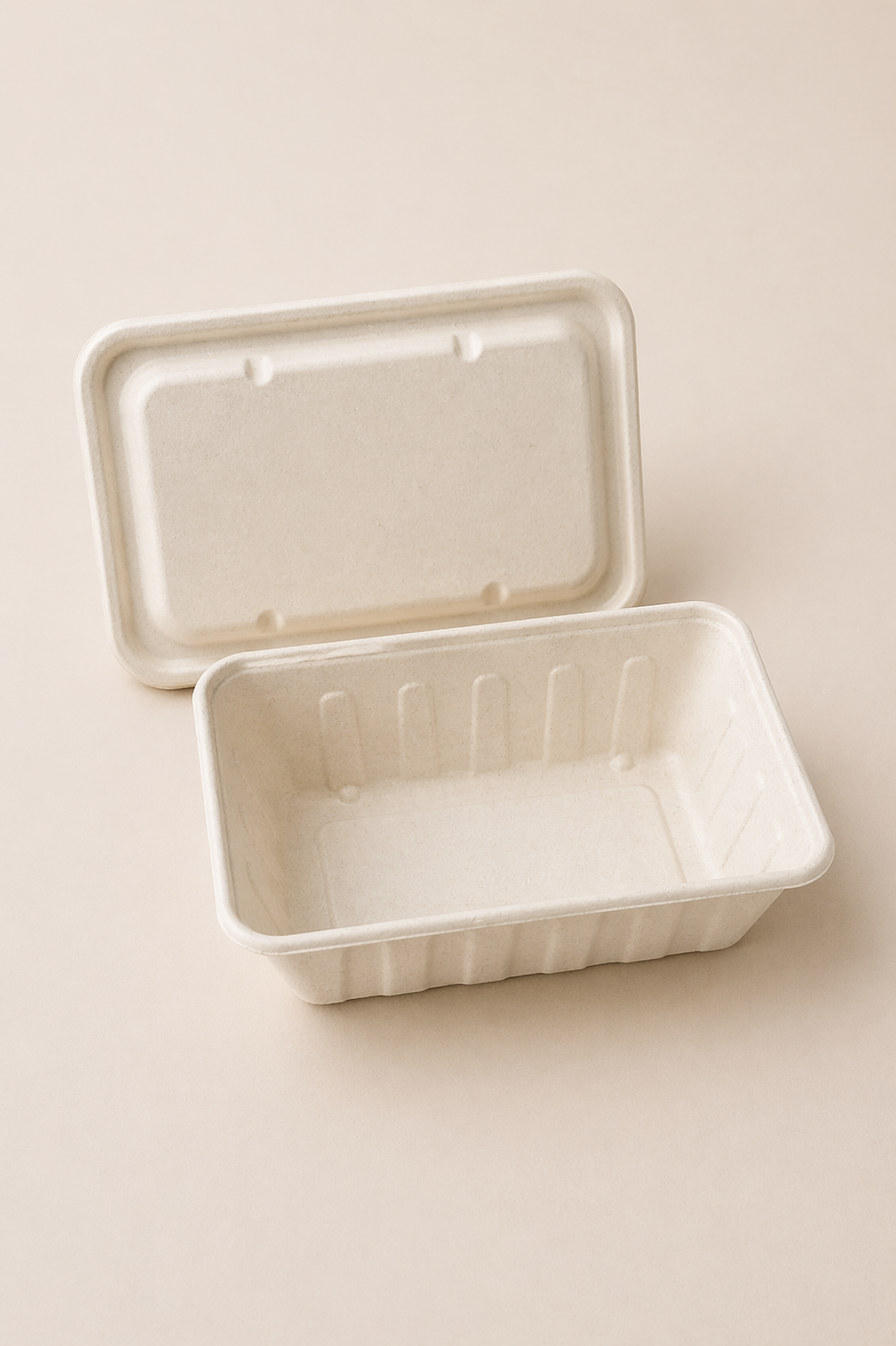 Rectangular Tray with Lid (3000ml)