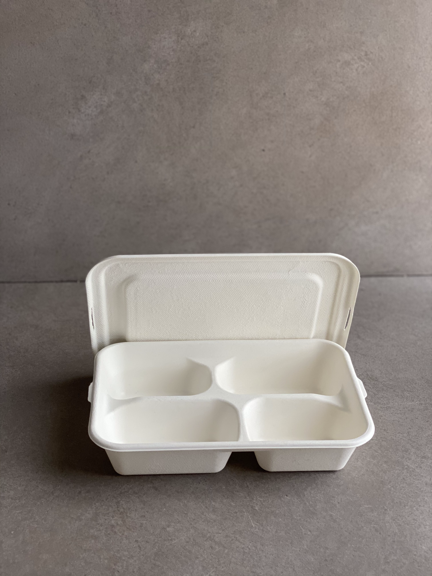 Bento Box 4-Compartment (Small Tray)